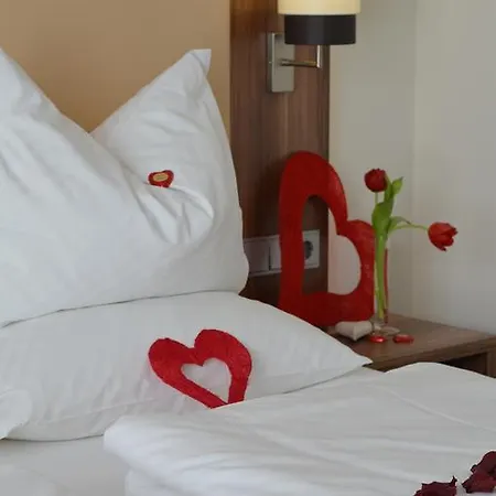 Wohlfuehl-hotel Neu Otel Heidelberg